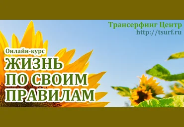 Жизнь по своим правилам - Васина 2015 слив