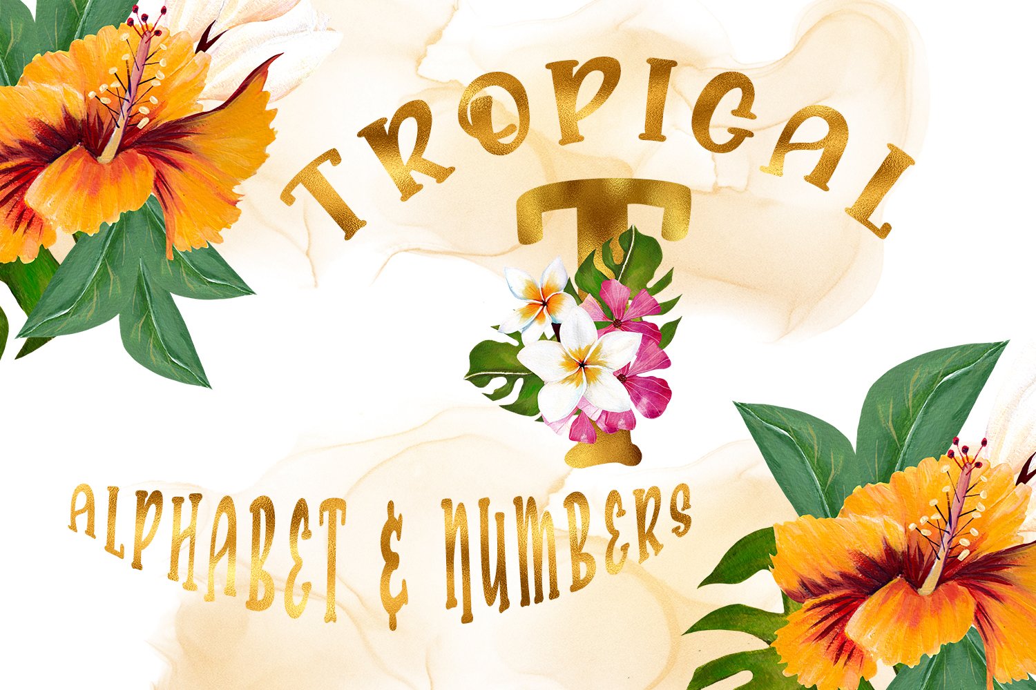 Designbundles Tropical Alphabet and Numbers 2020 слив курса