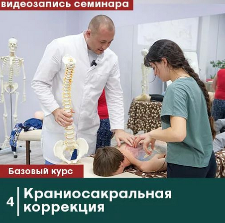 Антон Циванюк, Михаил Белюк Сандал Краниосакральная коррекция. Без сертификата 2023 слив курса