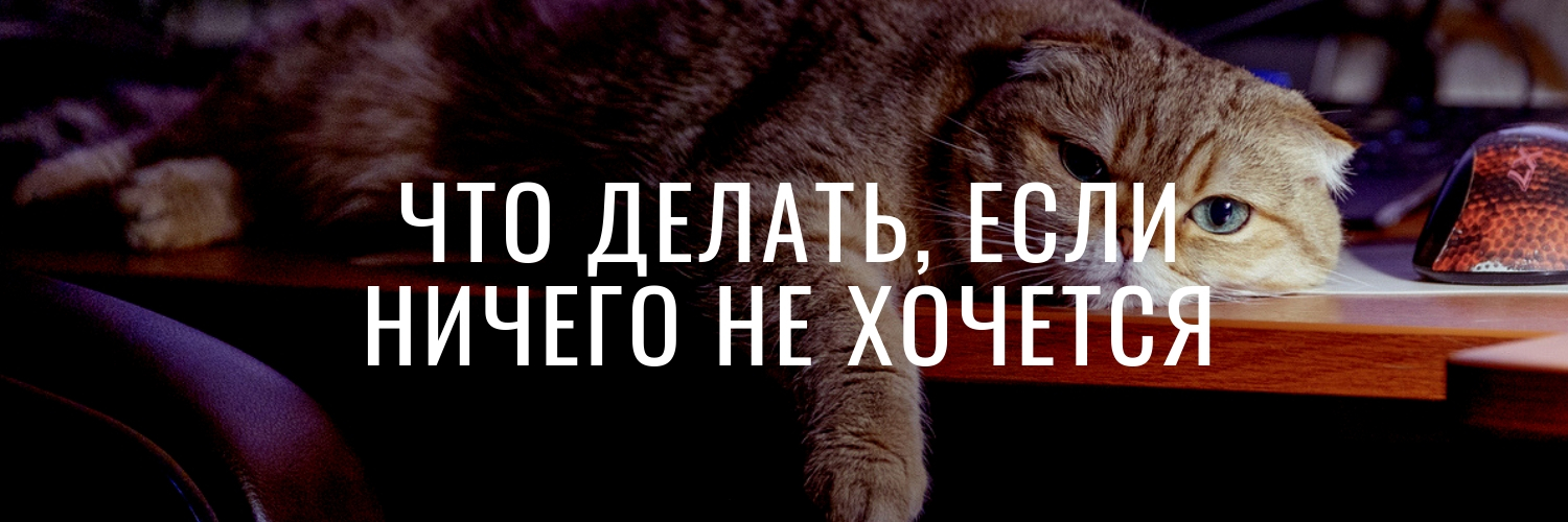 b17 Марина Радионова ― Гайд «Что делать, когда ничего не хочется?» 2024 слив курса