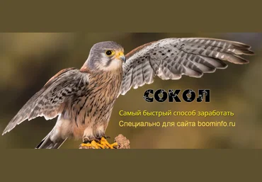 Андрей Копылов «Сокол» - Самый быстрый способ заработать 2020 слив