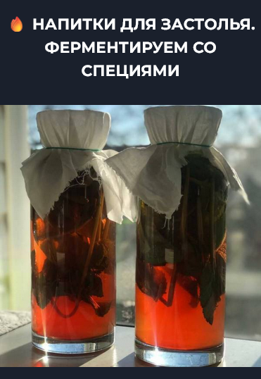 Вероника Порсина Напитки для застолья. Ферментируем со специями 2024 слив курса