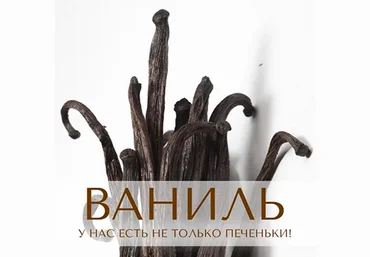 Анна Зворыкина Парфюмерия Ваниль: у нас есть не только печеньки! 2024 слив