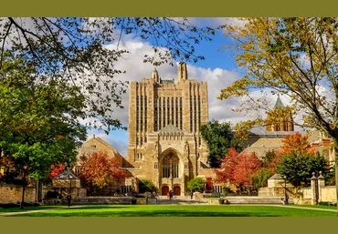 Yale University Введение в психологию. Лекции Йельского Университета Часть 9 из 10 скачать слив