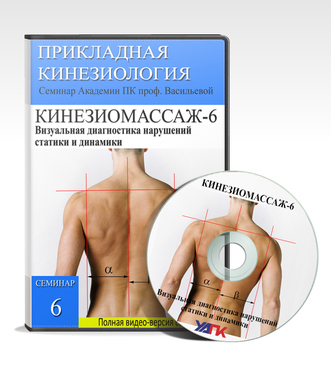 Евгения Чижикова Кинезиомассаж 6. Визуальная диагностика нарушений статики и динамики 2020 слив курса