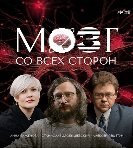 Станислав Дробышевский, Алексей Решетун, Анна Баженова MedioModo Мозг со всех сторон 2024 слив курса