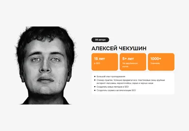 Алексей Чекушин Зарубежное SEO. Тариф Basic 2024 слив