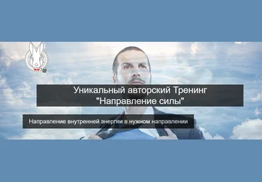 Направление силы - Позье 2017 слив