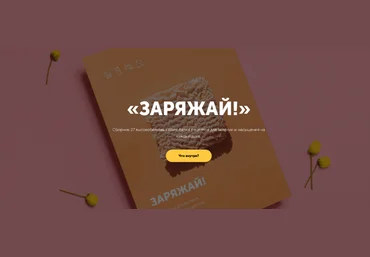 Настя Лисица Сборник высокобелковых рецептов «Заряжай!» 2024 слив
