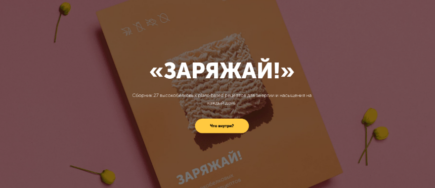 Настя Лисица Сборник высокобелковых рецептов «Заряжай!» 2024 слив курса