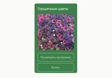 Школа нетипичного фермера Анна Акинина — Горшечные цветы 2024 слив