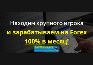 Антон Бергов Находим крупного игрока и зарабатываем на Forex 100% в месяц! 2020 слив