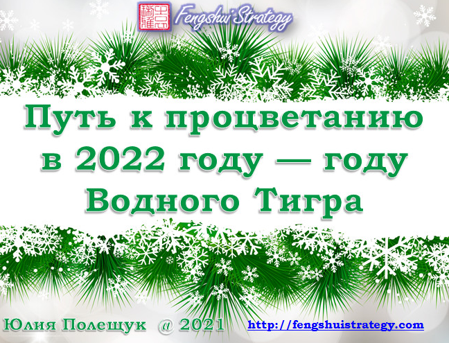 Юлия Полещук Путь к Процветанию в 2022 году - году Водного Тигра 2021 слив курса