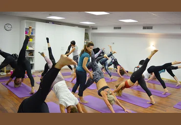 Polestar Pilates Polestar Pilates Mat. 1 модуль 2024 слив