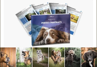 Тамара Кедвес Идеальные Pawtraits 2024 слив