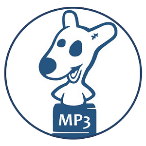 VK MP3 Mod  2021 слив курса