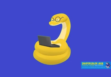 Udemy Timur Mashnin - Python 3: От новичка до профессионала 2020 слив