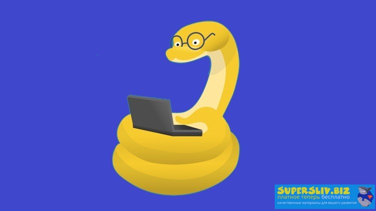 Udemy Timur Mashnin - Python 3: От новичка до профессионала 2020 слив курса
