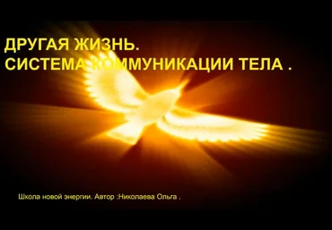 Ольга Николаева Другая жизнь. Система коммуникации тела 2022 слив