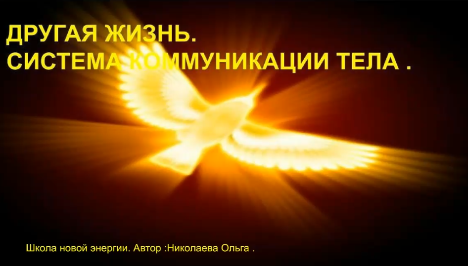 Ольга Николаева Другая жизнь. Система коммуникации тела 2022 слив курса