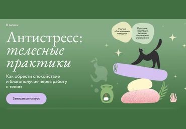 Дарья Сучилина Как обрести спокойствие и благополучие через работу с телом 2024 слив