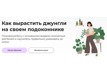 Правое полушарие Интроверта Елена Лейн - Как вырастить джунгли на своем подоконнике 2022 скачать слив