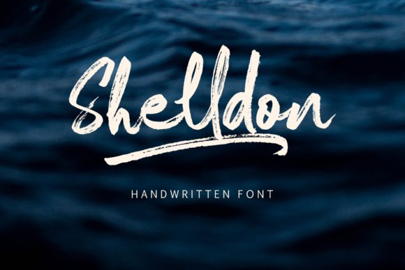Creativefabrica Shelldon Font 2021 слив курса