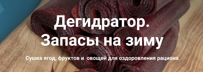 Ольга Неблогер Дегидратор. Запасы на зиму 2022 слив курса