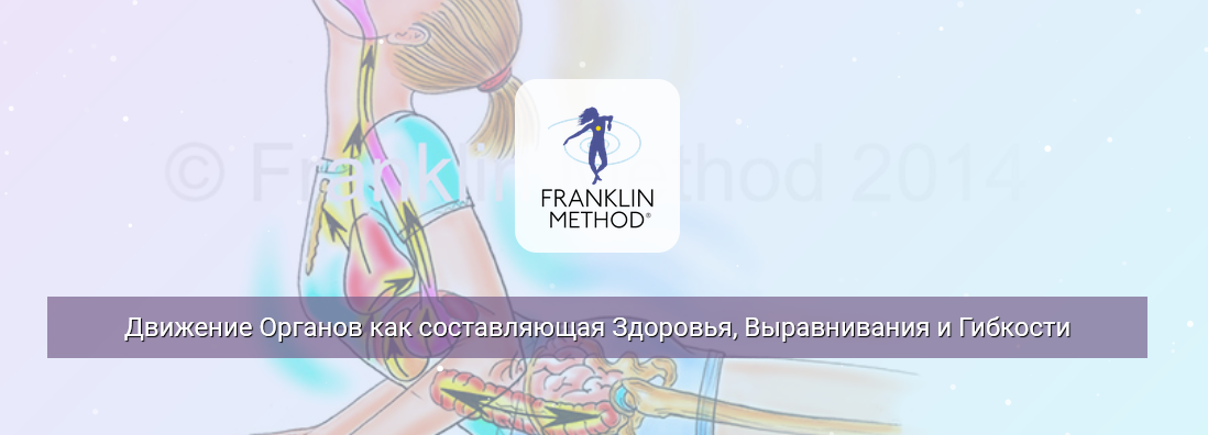 Эрик Франклин Движение органов как составляющая здоровья, выравнивания и гибкости 2022 слив курса