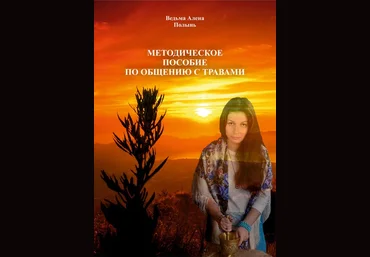 Методическое пособие по общению с травами - Полынь Веда слив