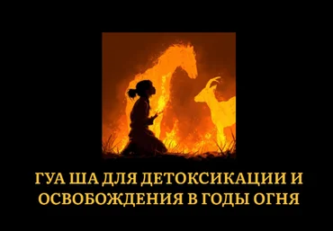 Джесси Ли Гуа Ша для детоксикации и освобождения в годы огня 2025 слив