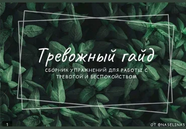 @naselinas Тревожный гайд слив