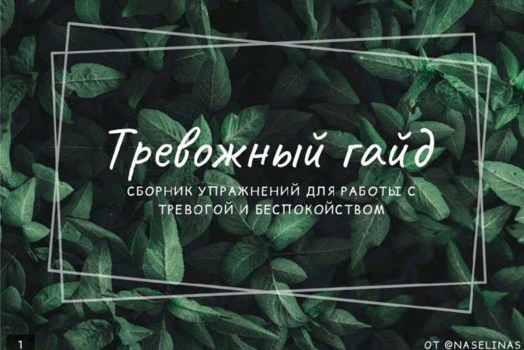 @naselinas Тревожный гайд слив курса