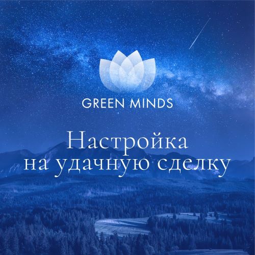 Алексей Ситников Нейромедитация GREEN MINDS «Настройка на удачную сделку», «Продуктивный бизнес» слив курса