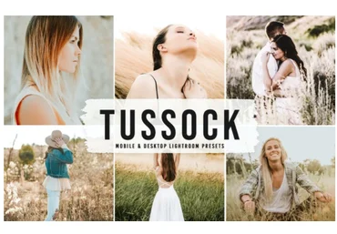 Elements.Envato Tussock Mobile & Desktop Lightroom Presets 2021 скачать слив