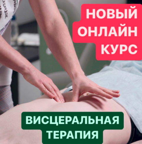 Тимофей Кармацкий Висцеральная терапия 2023 слив курса