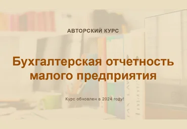 О. Шулова, В. Власенко учетбеззабот.рф Бухгалтерская отчетность малого предприятия 2024 слив