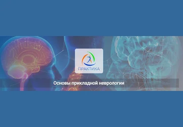 Мария Недре Центр Практика Основы прикладной неврологии 2024 слив