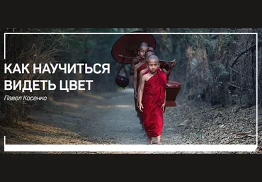 liveclasses Павел Косенко - Как научиться видеть цвет 2018 слив