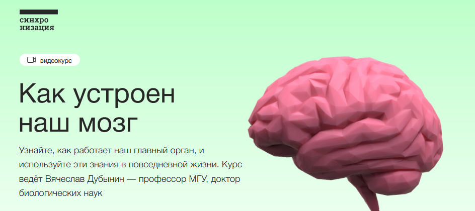 Синхронизация Вячеслав Дубынин - Видеокурс «Как устроен наш мозг» 2020 слив курса