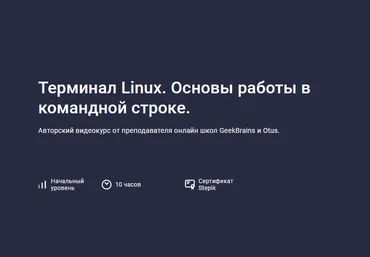Stepik Терминал Linux. Основы работы в командной строке 2023 слив