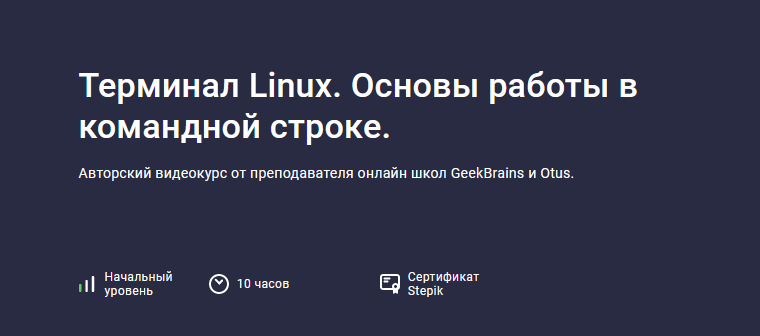 Stepik Терминал Linux. Основы работы в командной строке 2023 слив курса
