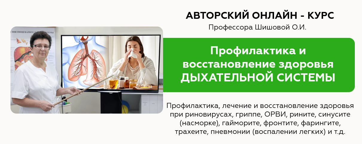 Ольга Шишова Профилактика и лечение заболеваний дыхательной системы 2021 слив курса