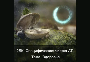 Ксения Меньшикова 2БК Специфическая чистка астрального тела. Тема: Здоровье Школа Меньшиковой слив