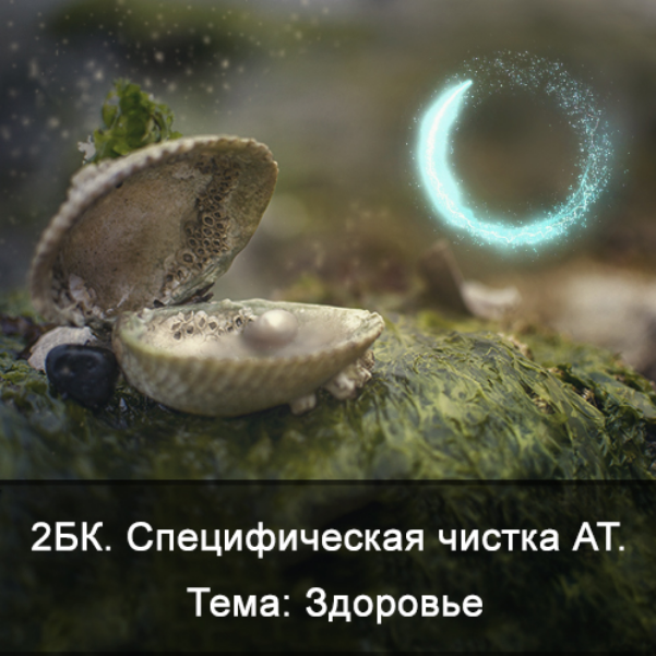 Ксения Меньшикова 2БК Специфическая чистка астрального тела. Тема: Здоровье Школа Меньшиковой слив курса