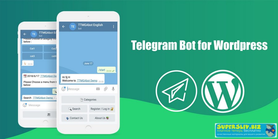 Telegram Bot плагин + русификация WP слив курса