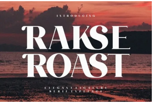 Creativefabrica Rakse Roast Font 2022 слив курса