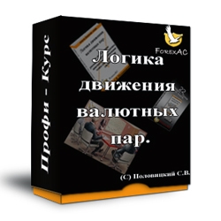 Логика движения валютных пар - Половицкий 2014 слив курса