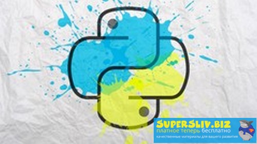 Udemy Denis Tamkovich - Бизнес Python 2019 слив курса