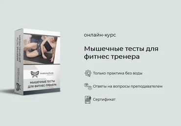 Андрей Богатырев Мышечные тесты для фитнес тренера 2021 слив